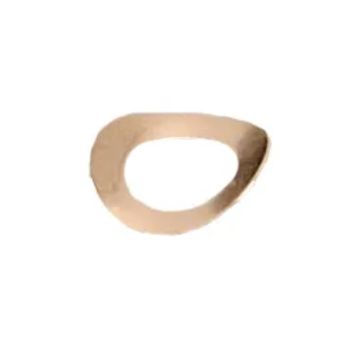 177718-F - Washer Spring