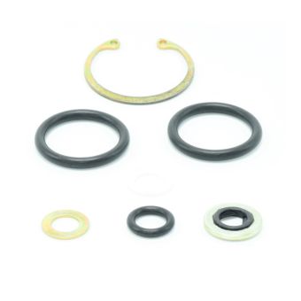 PPLGA9 - Cleveland 11-17 Actuator O-Ring Kit