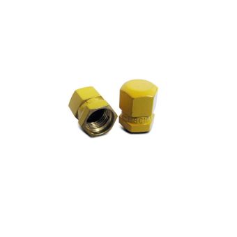 MS20813-1 - Valve Cap