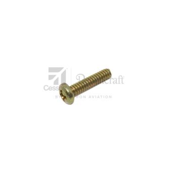 NAS601-10P - Alloy Screw