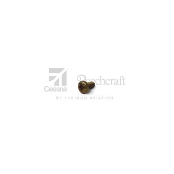 NAS601-5P - Alloy Screw