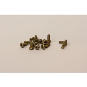 NAS601-6P - Alloy Screw