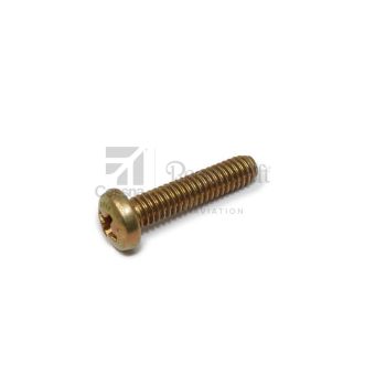 NAS602-12P - Alloy Screw