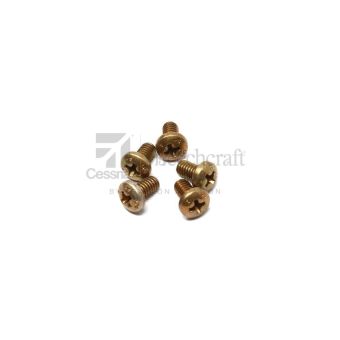 NAS602-5P - Alloy Screw